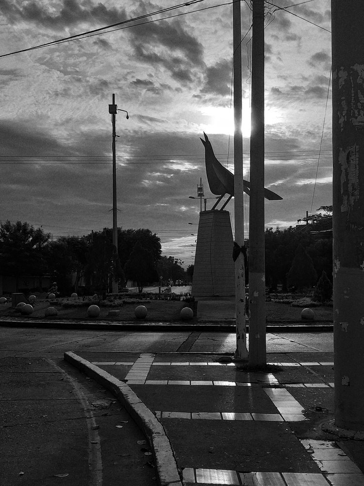 Photo #4229861