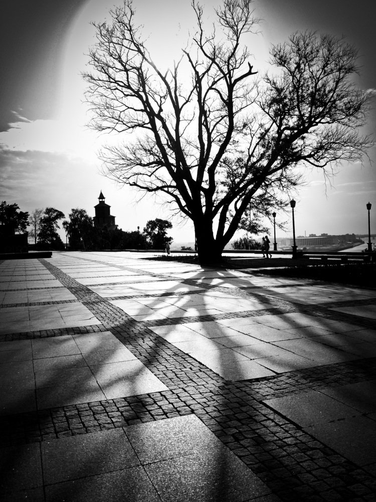 Photograph by Сергей Забиякин