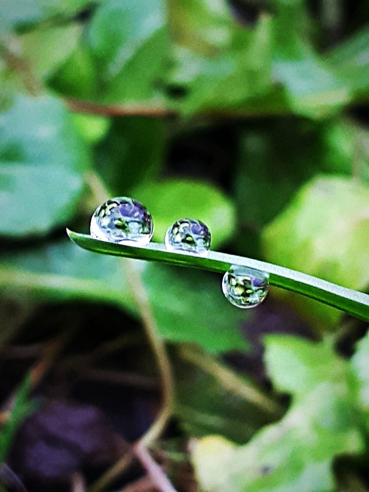 Three small crystals