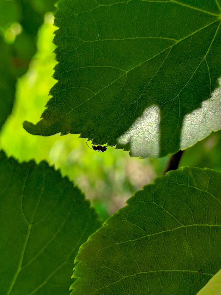 Photograph by Зайнаб Шукурова