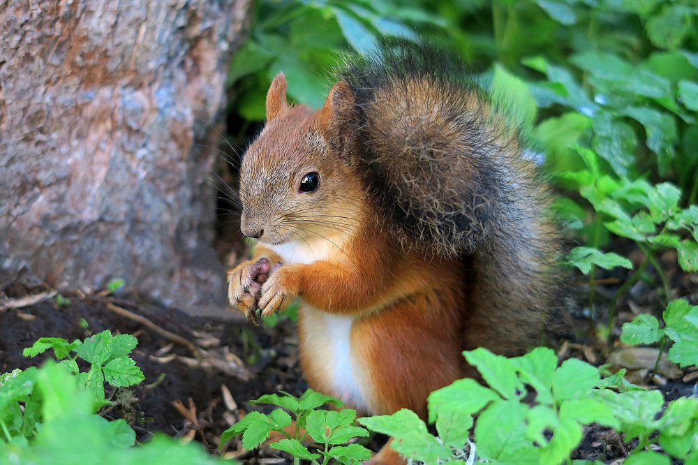 Photograph by Константин Юрченко