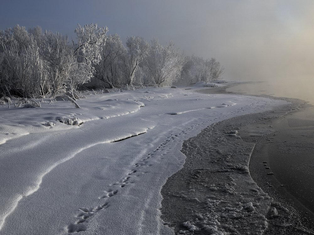 Photograph by Олег Тетерин