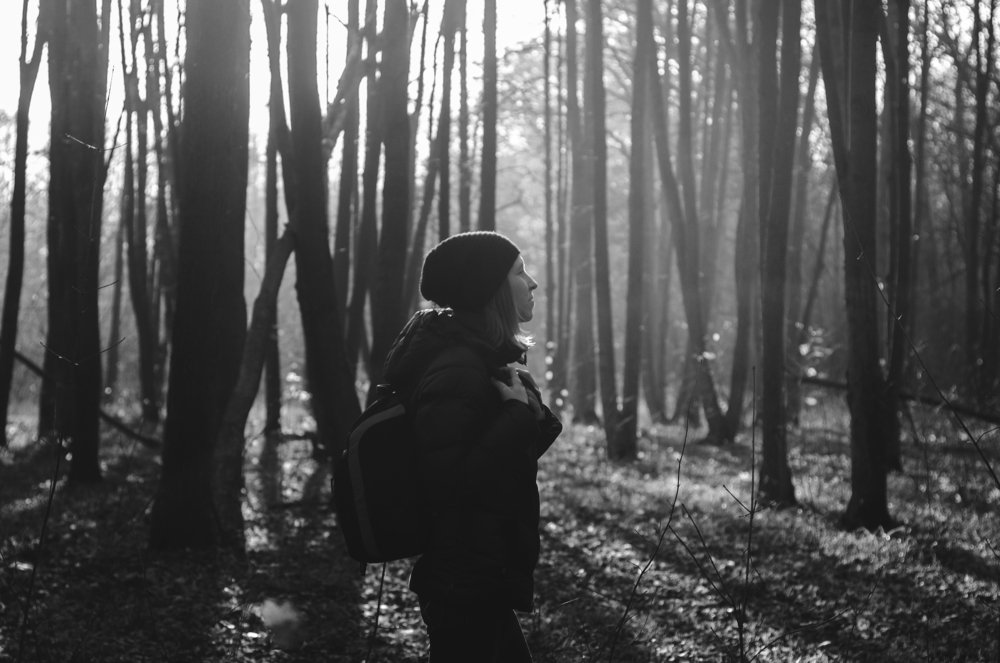 Walk through the woods