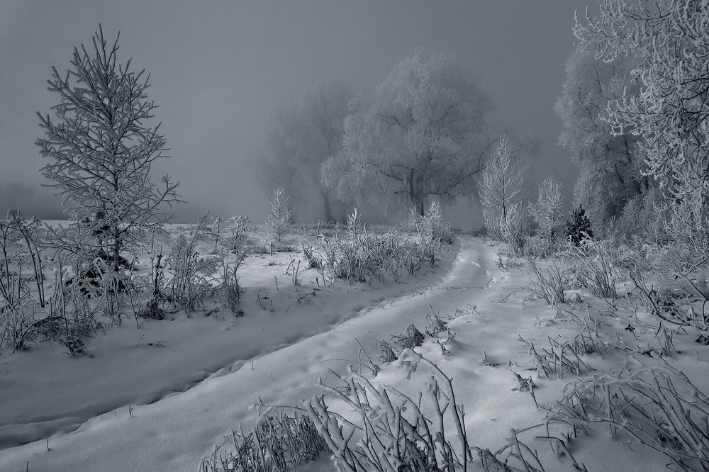 Photograph by Олег Тетерин