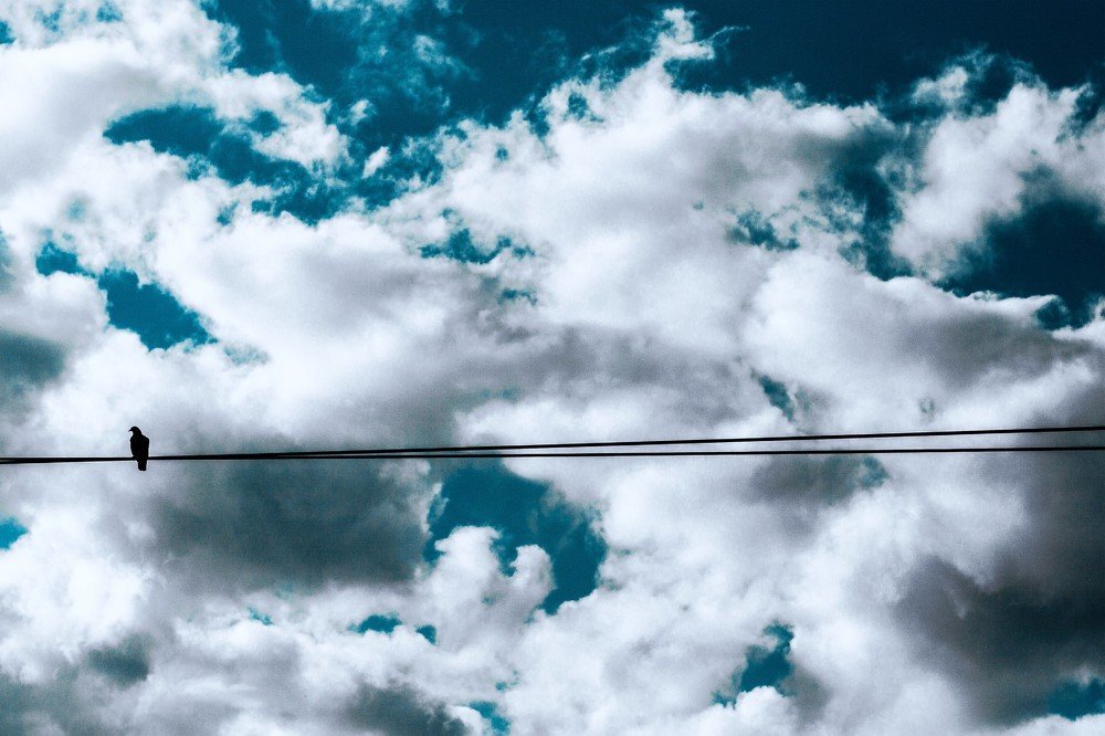 тревожность