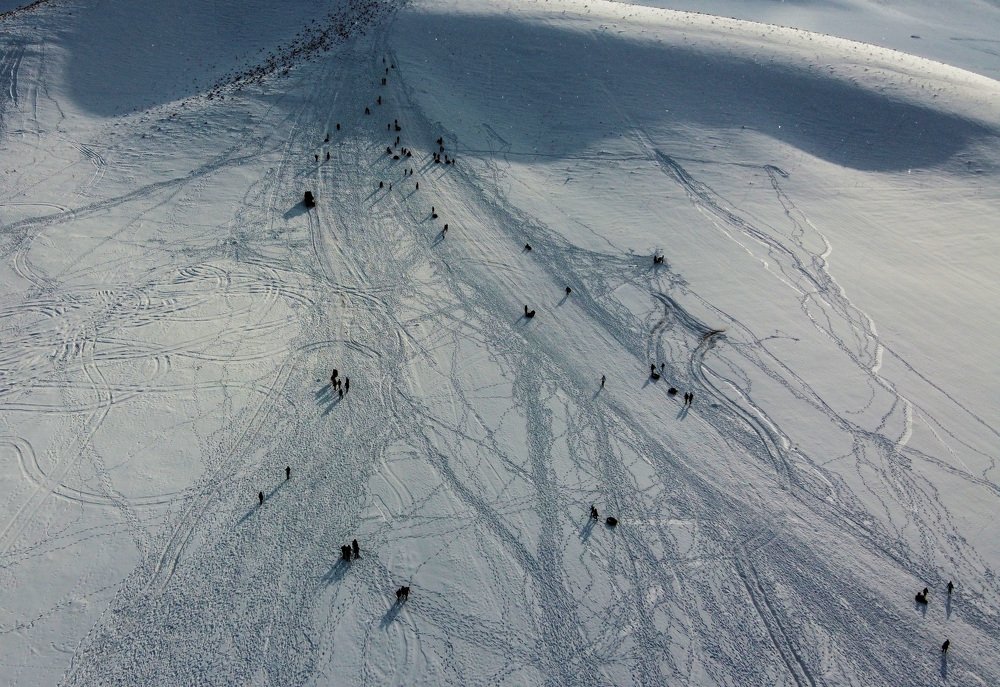 Photograph by  Reza Mohammadi