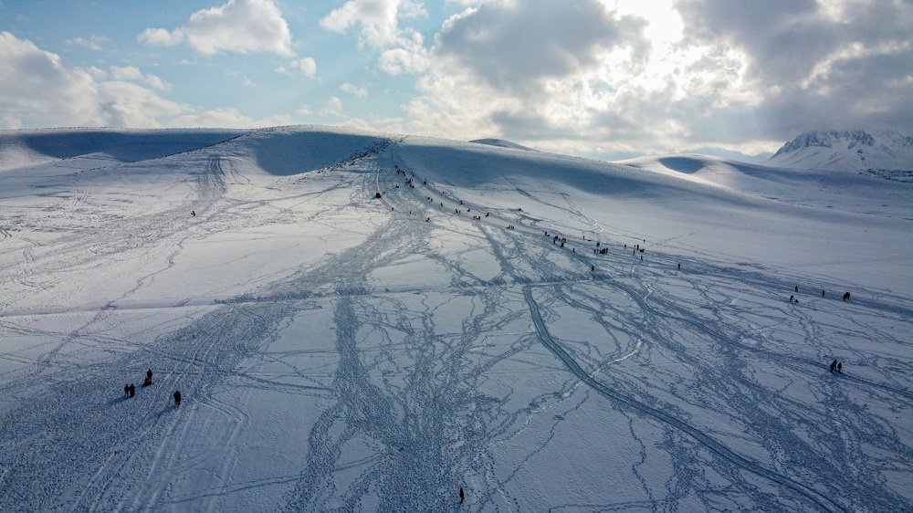 Photograph by  Reza Mohammadi