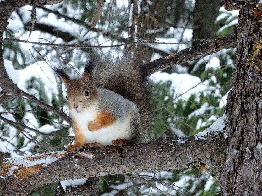 Photograph by Устюжанина Елена