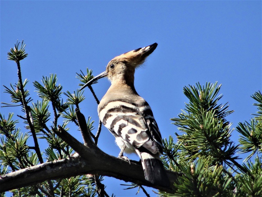 Photograph by Устюжанина Елена