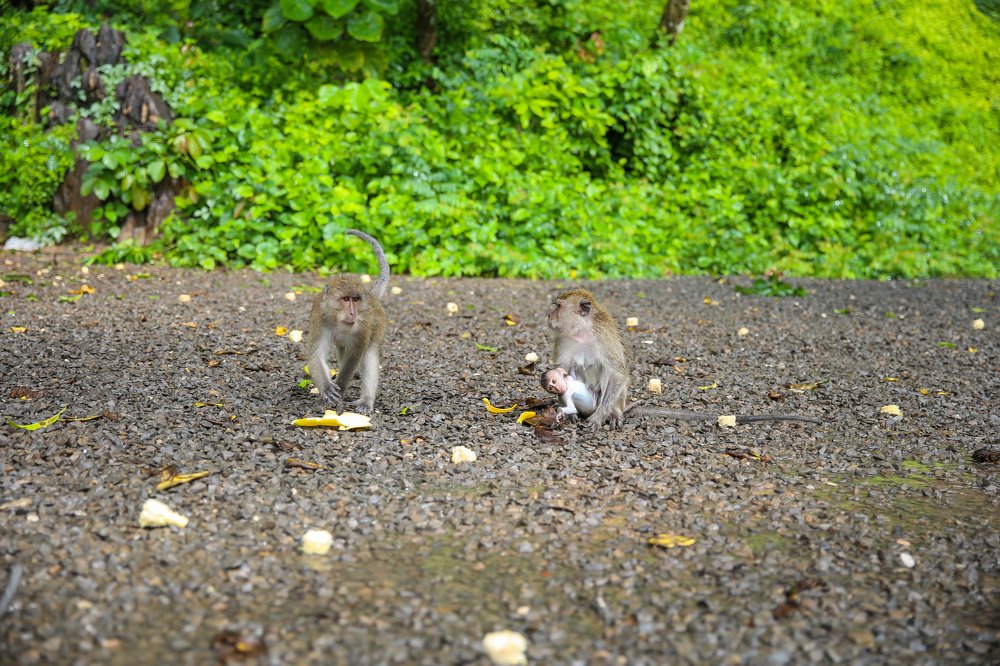 Photograph by Алекса