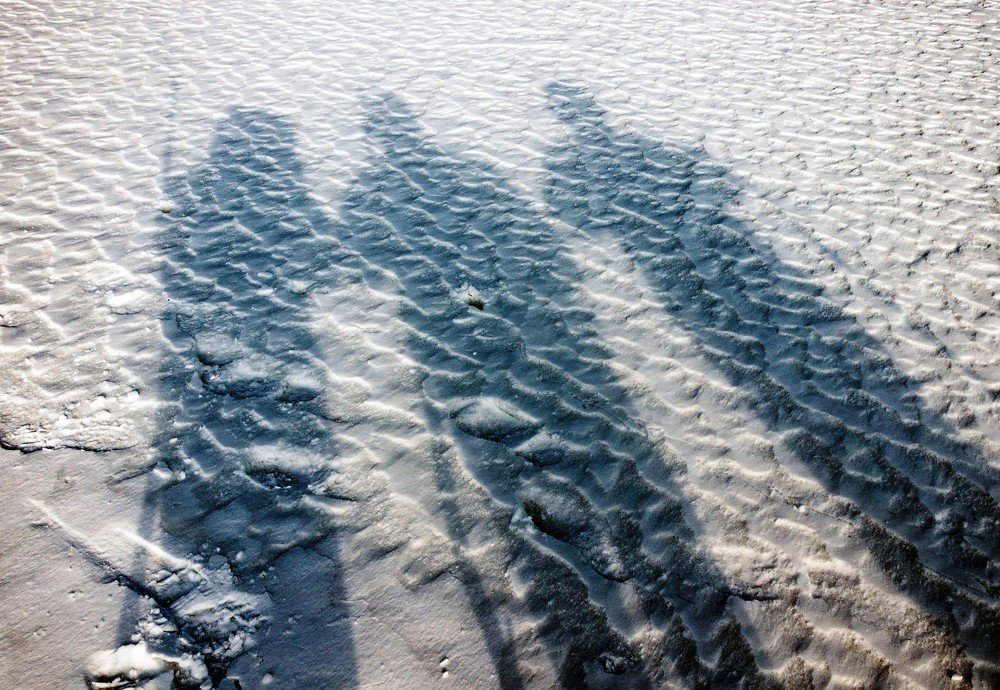 Photograph by Александр Пономарёв