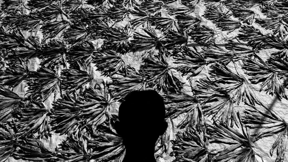 Photograph by Muhaiminul Islam Munaj Kazi