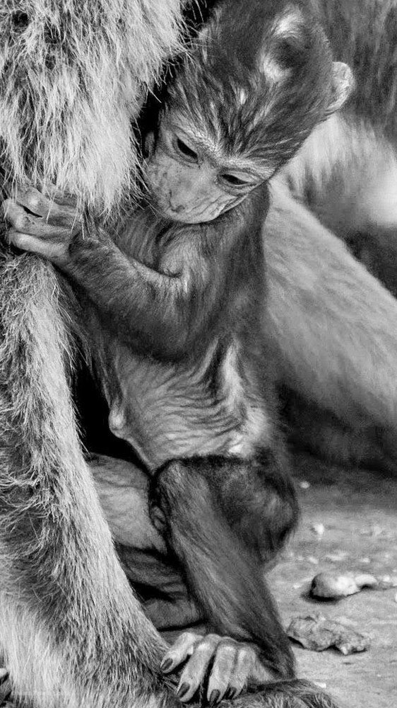 Photograph by Maria Teresa Teixeira de Sousa