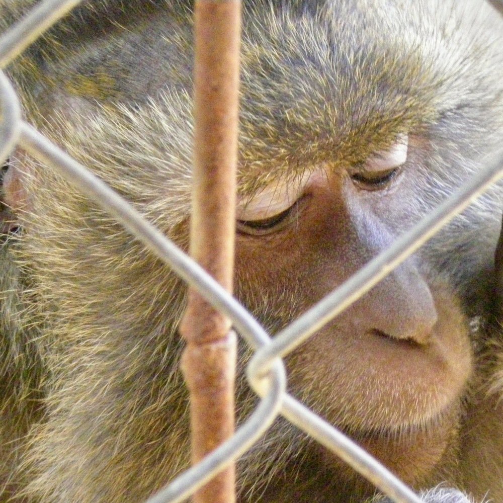 Photograph by Maria Teresa Teixeira de Sousa