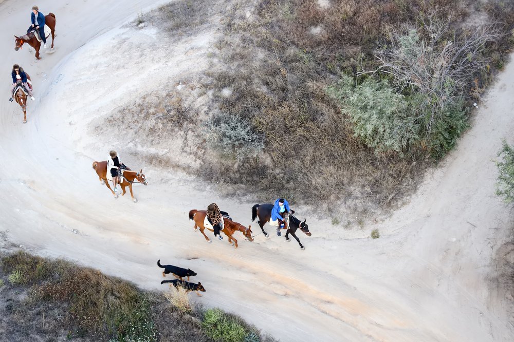 Photograph by Наталья Суслова