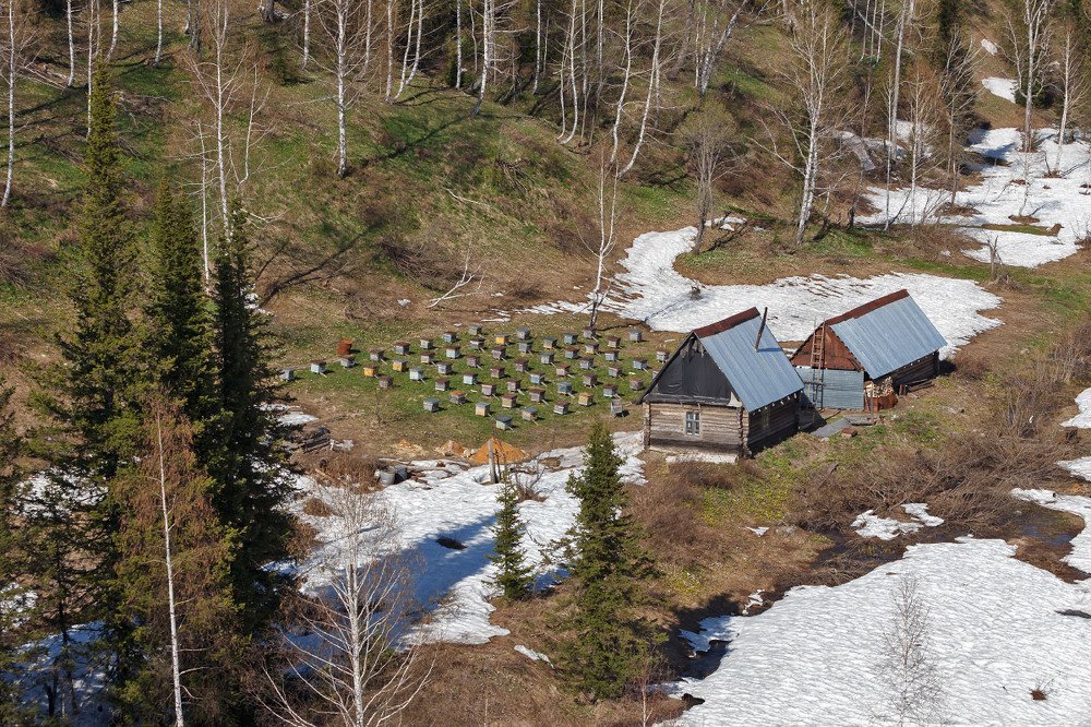 Фотография автора Юрий Литвинов