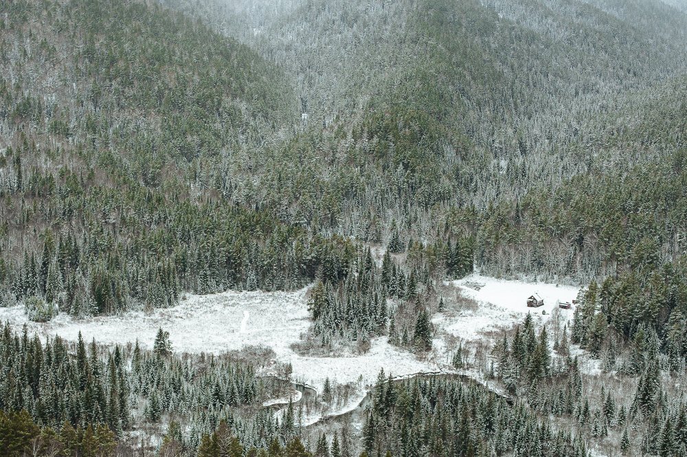 Фотография автора Анна Рыжкова