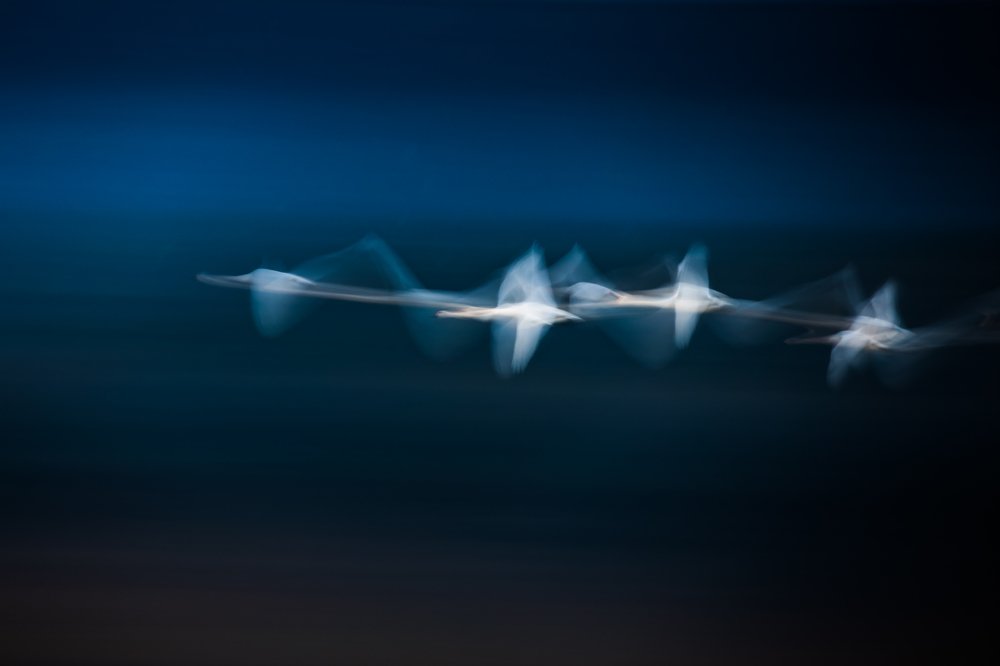 Photograph by Masahiro Hiroike Masahiro Hiroike