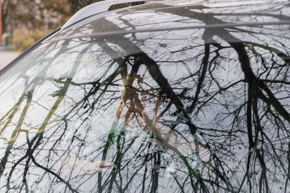 Photograph by Алекса