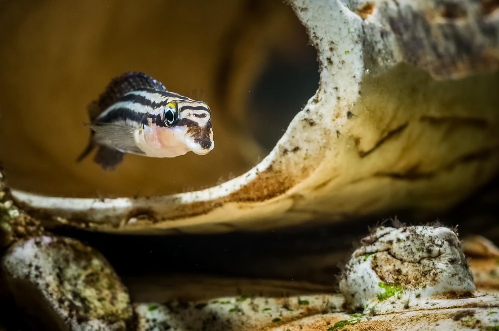 Photograph by Ясинский Юрий