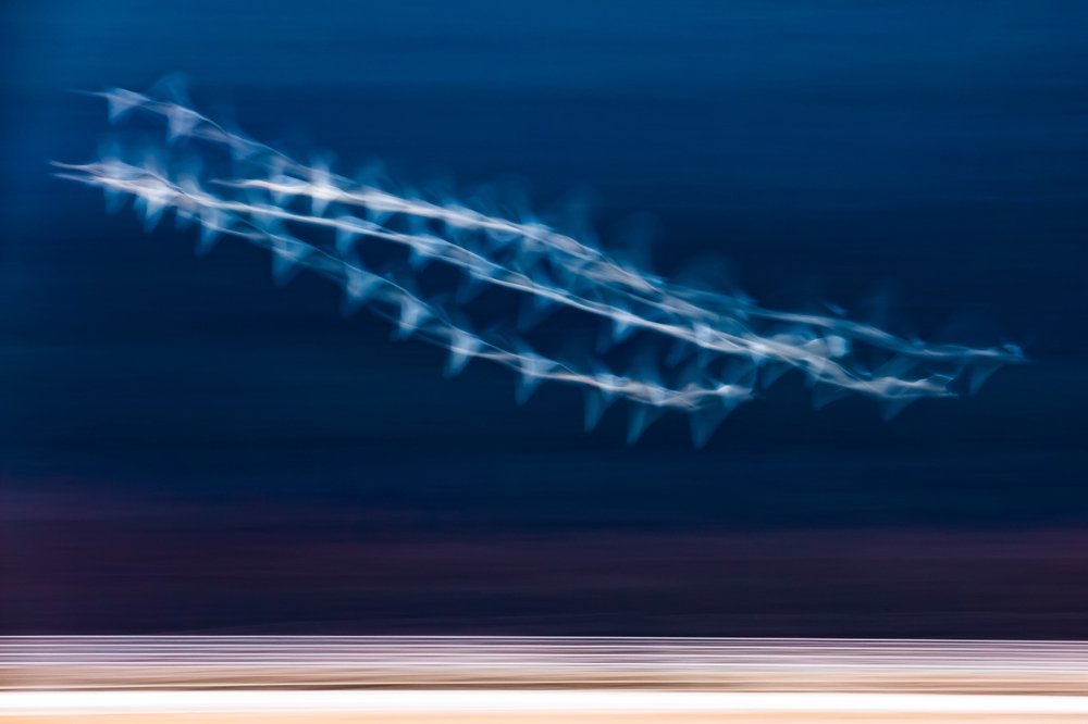 Photograph by Masahiro Hiroike Masahiro Hiroike