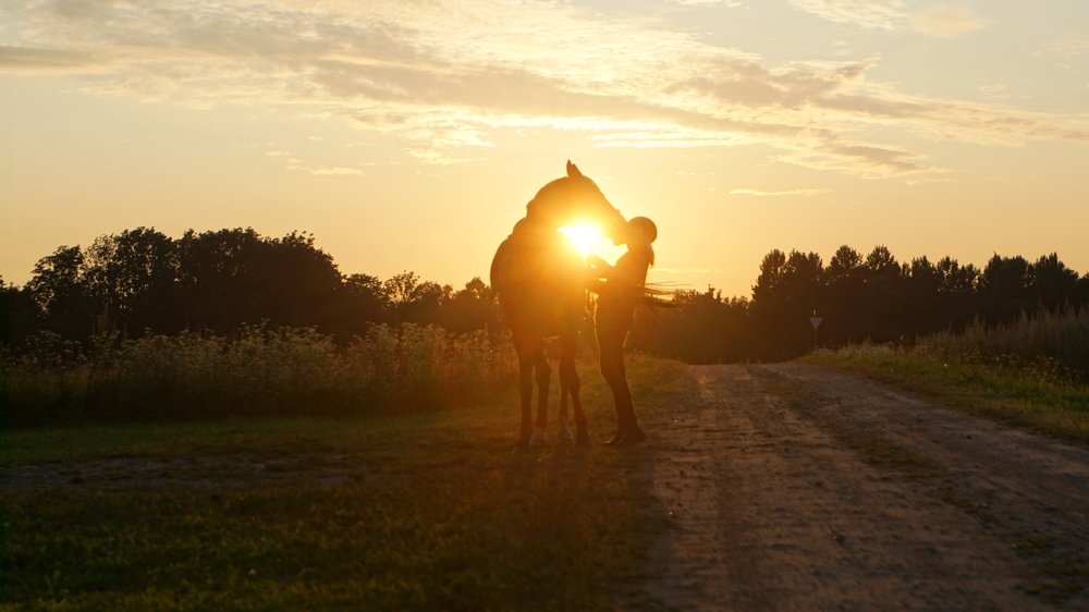 Photograph by Toomas Tõnisalu