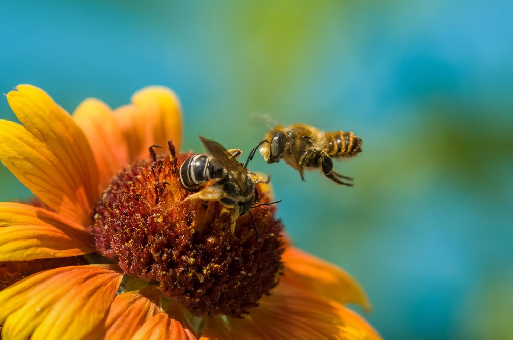 Photograph by Ясинский Юрий