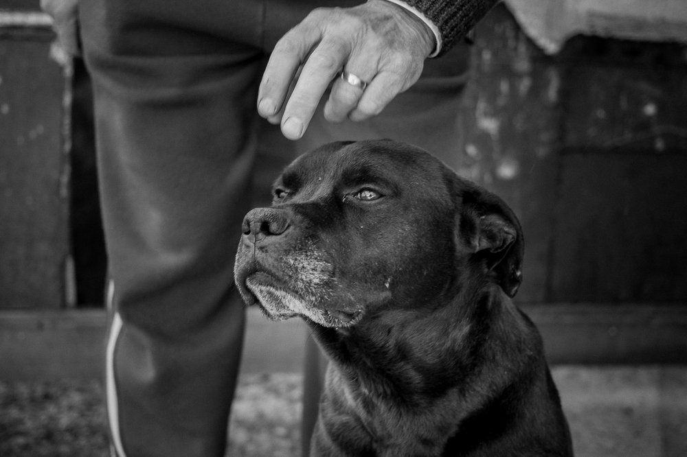 Photograph by Ban Istvan