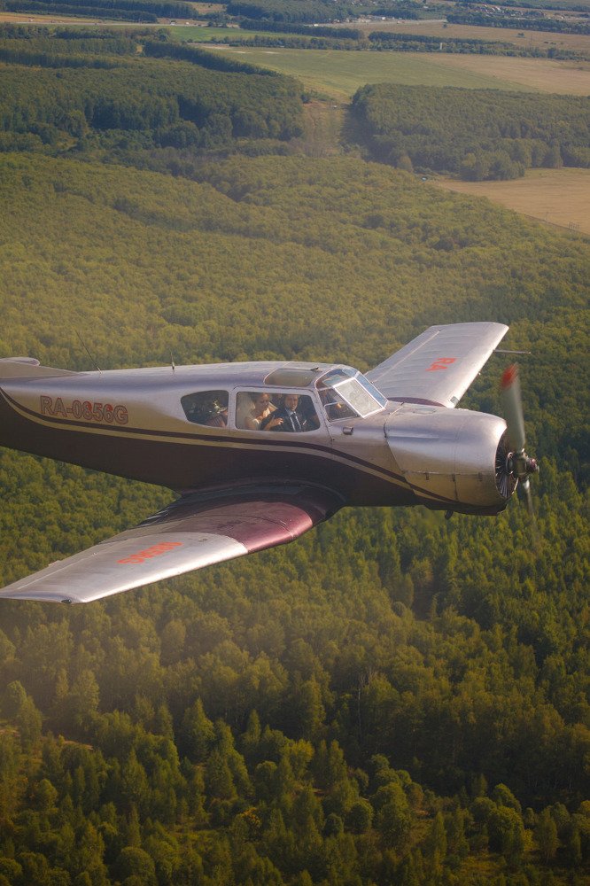 Свадебный переполох