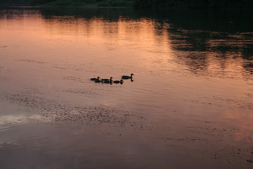Photograph by Эльвира Суслова