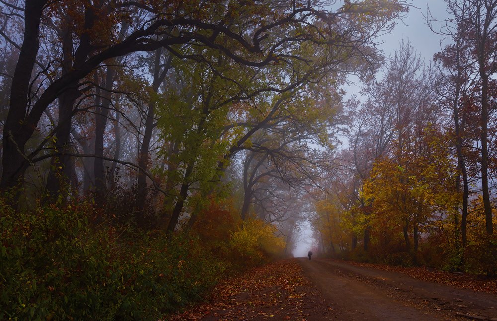 Photograph by Марина Кожевникова