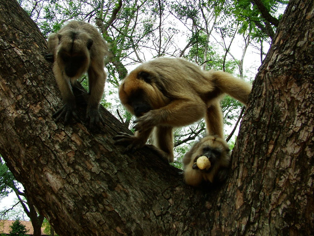 Photograph by Hugo Fernández