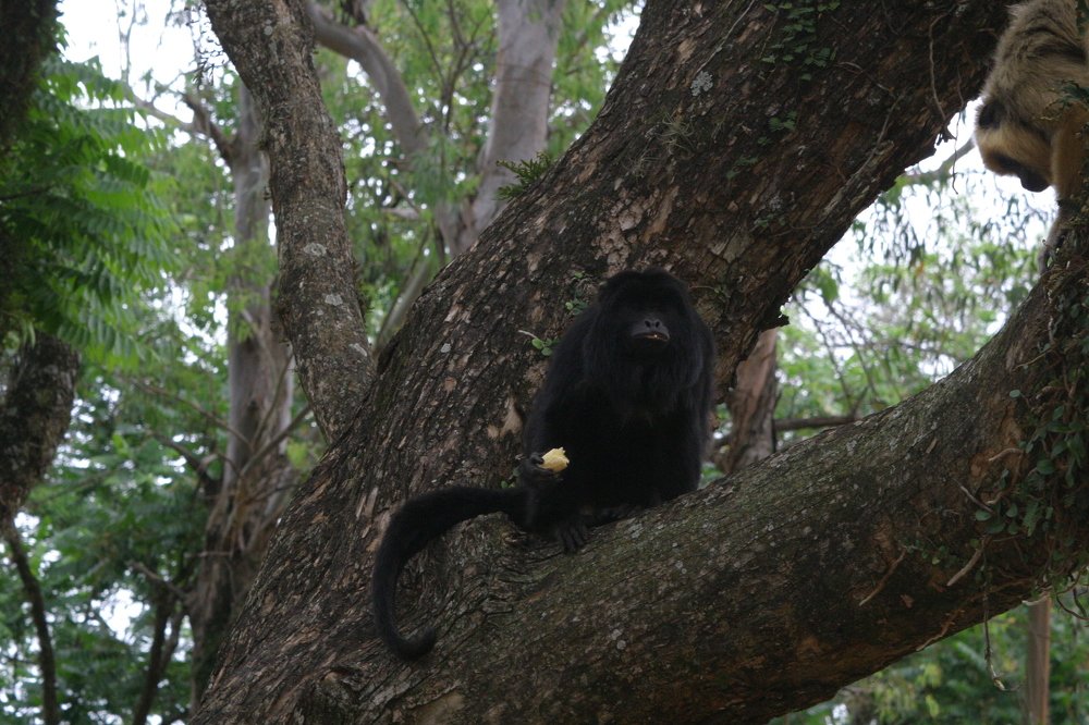 Photograph by Hugo Fernández