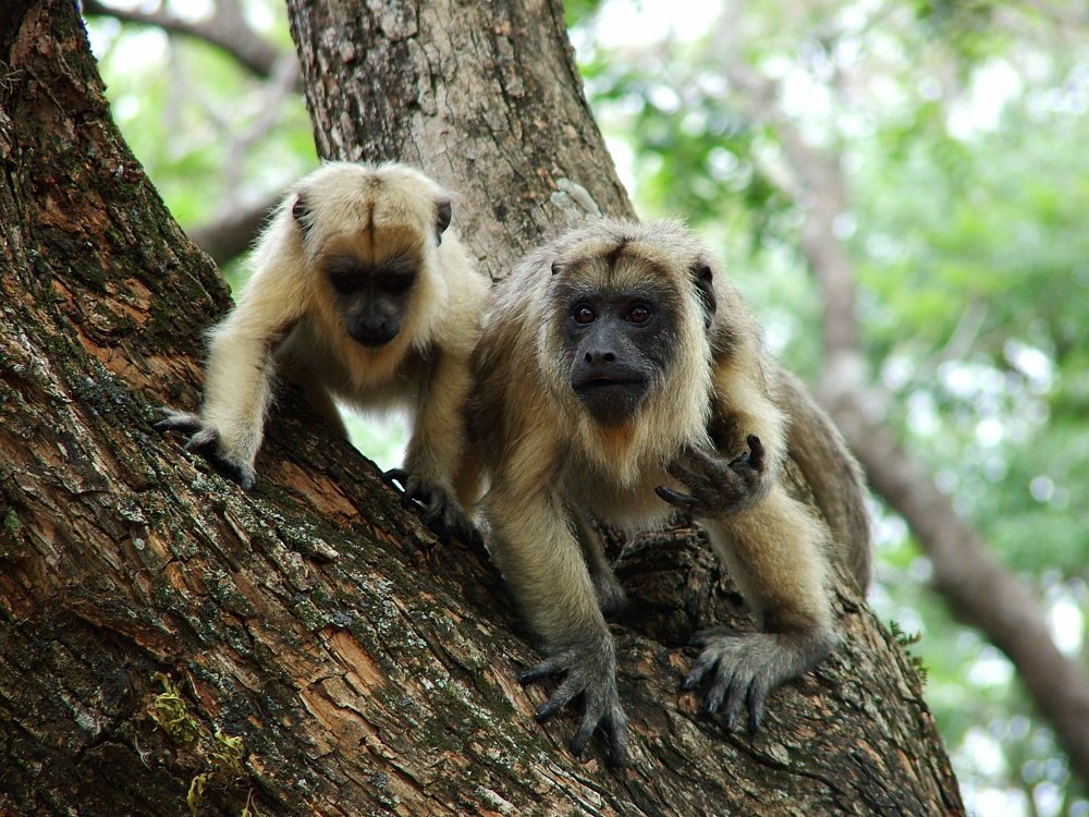 Photograph by Hugo Fernández