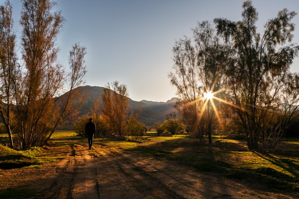 Фотография автора Ebrahim Rahiminezhad