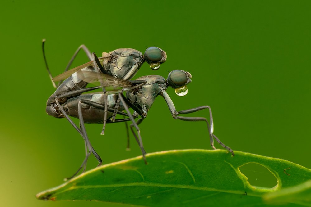 Photograph by Ranjit Mahara