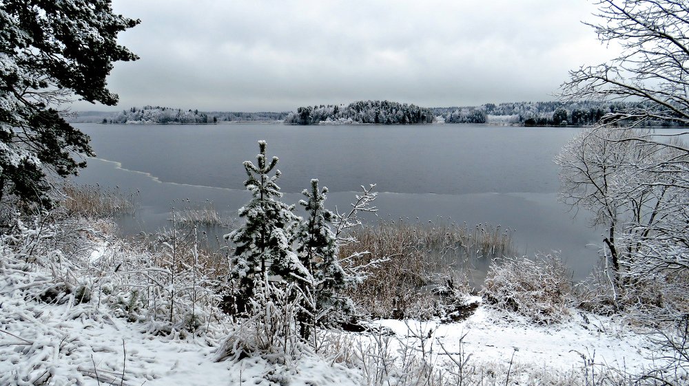 Январское утро на озере Сапшо.
