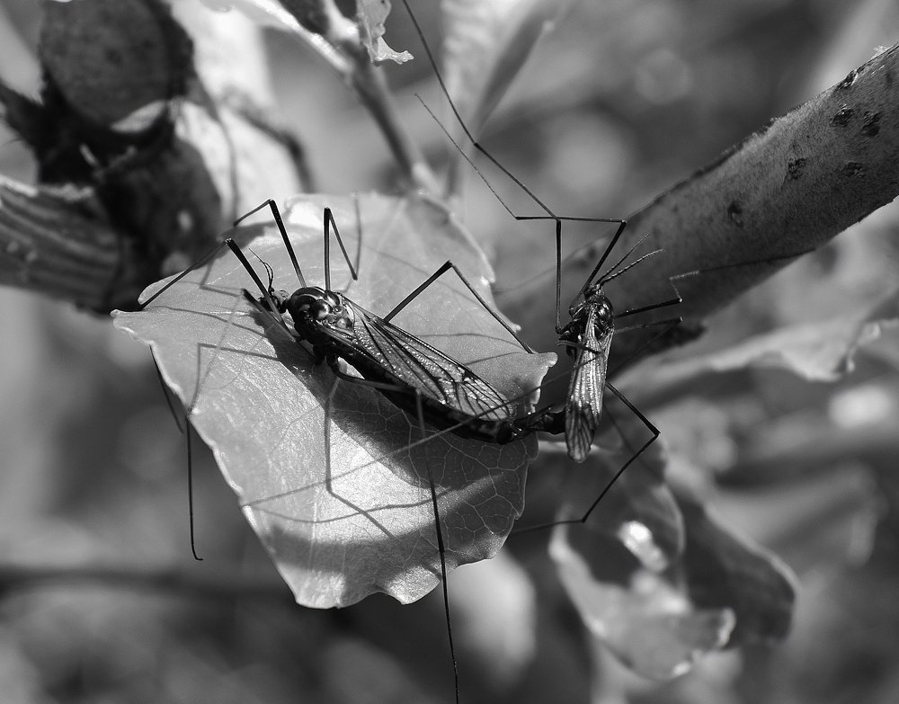 Весна, все греются на солнышке