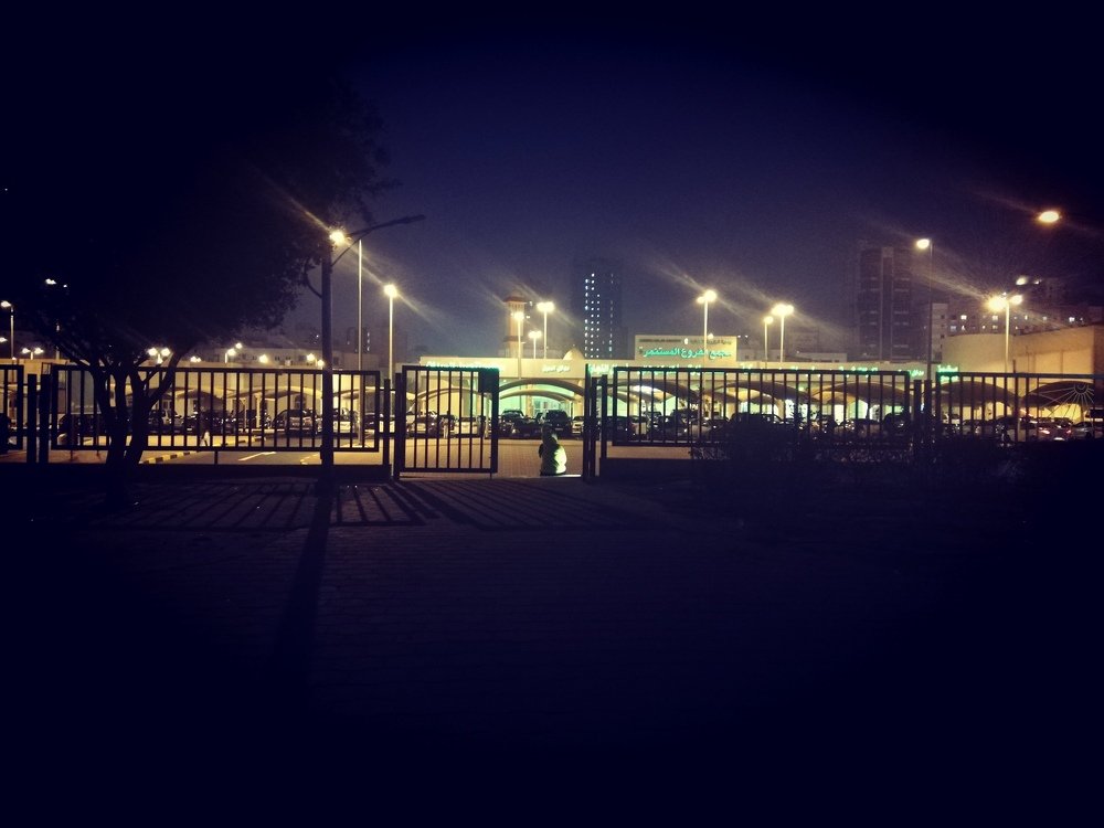 Photograph by Sandra Pinedo