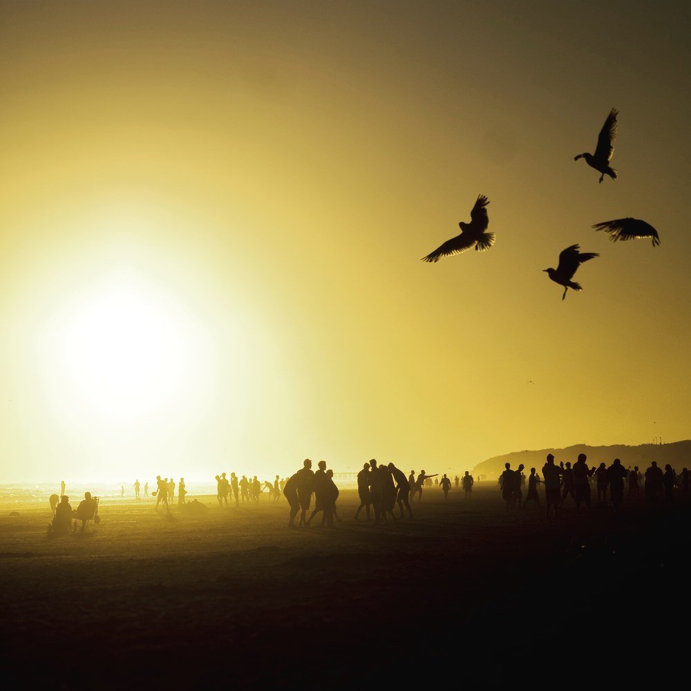 sunset silhouettes