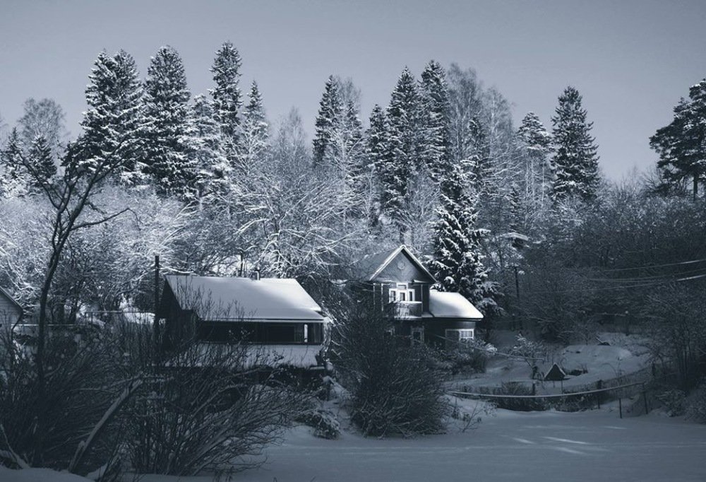 Photograph by Елена Жукова