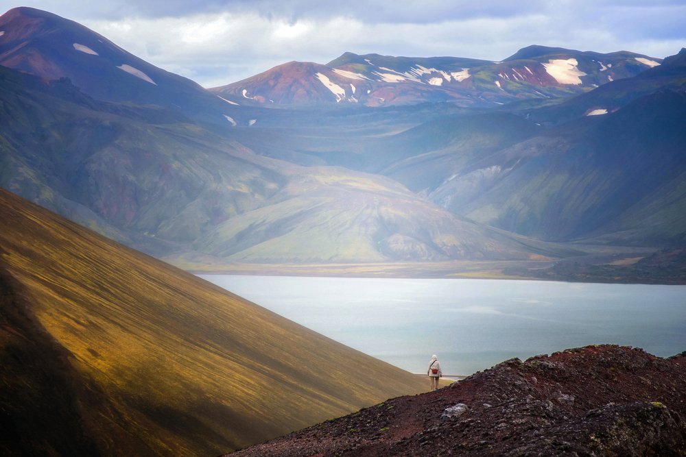 дорогой цветных снов