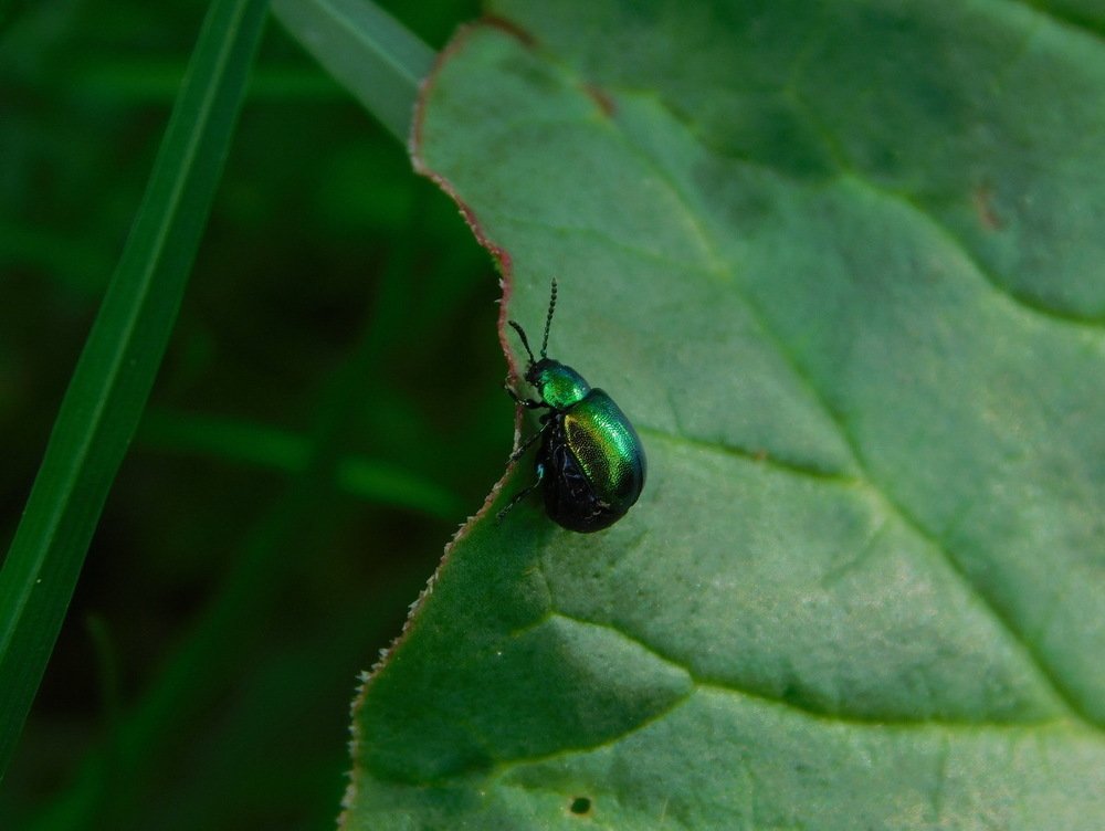Photograph by Анастасия Рысь