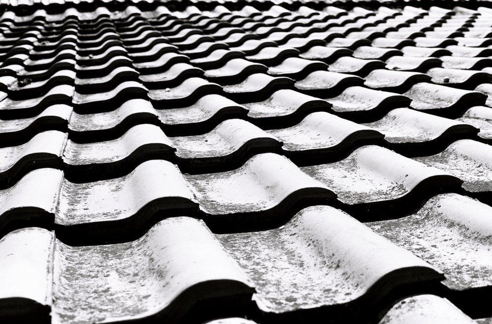 Photograph by Юлия Судавная