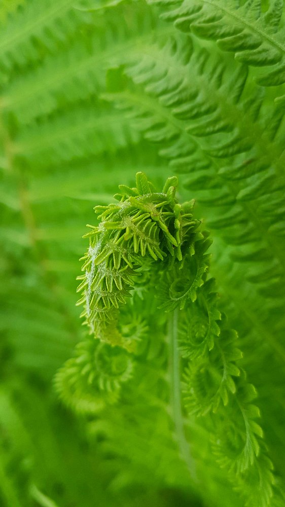 Photograph by Мария Глотова