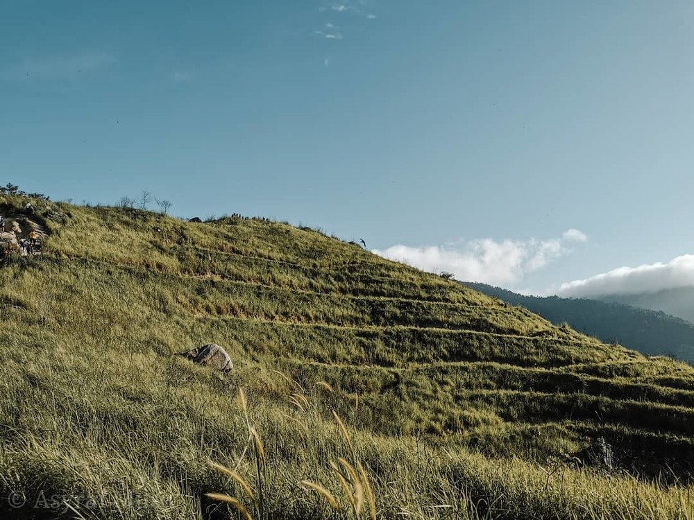 A LONELY HILL