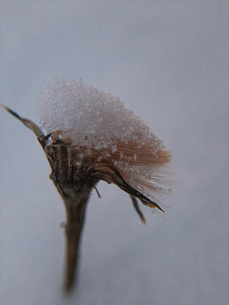 Photograph by Мария Глотова