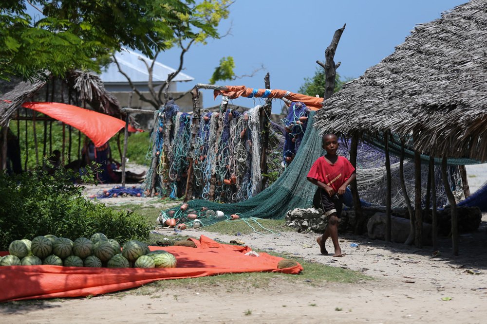 Photograph by Ирина Костова