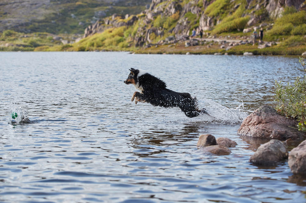 Photograph by Лана Полякова