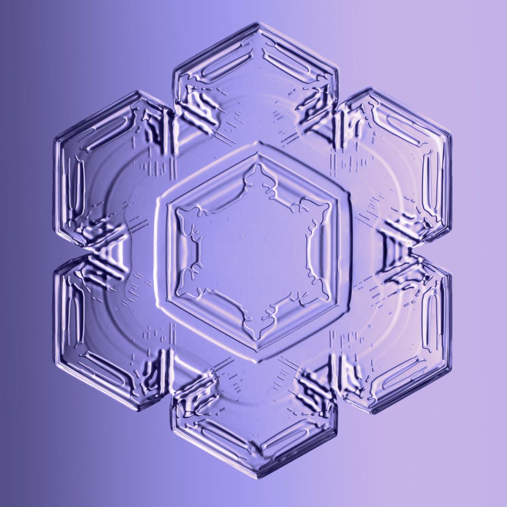 Photograph by Тимофей Черепанов